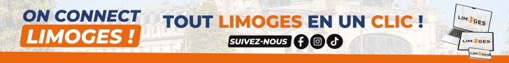 LIMOGES MEDIAS CONNECT PRINCIPAL